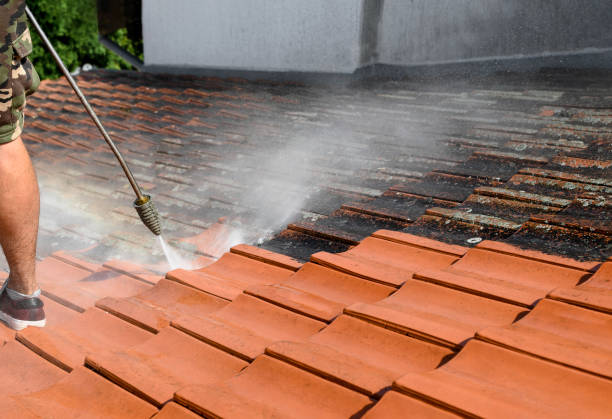  Roscoe, IL Pressure Washing Pros