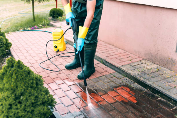 Best Exterior Home Cleaning  in Roscoe, IL