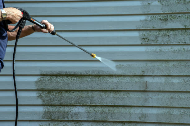 Best Residential Pressure Washing Services  in Roscoe, IL