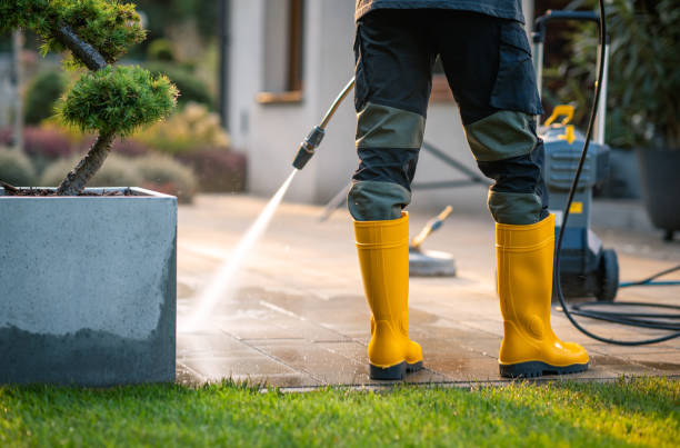 Best Deck Pressure Washing  in Roscoe, IL